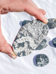 Chrysanthemum Natural Stone | Medium
