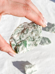 Tree Agate Natural | Large