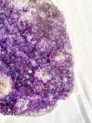 Amethyst CutBase Cluster with Druzy 1.3kg