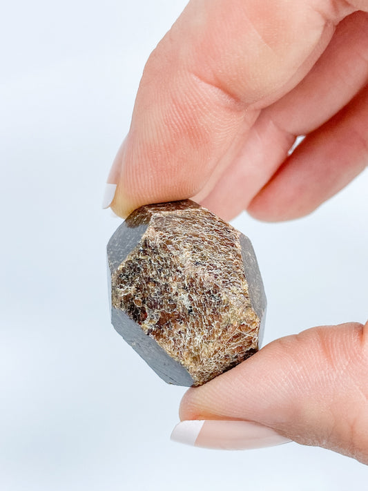 Garnet Free Form Polished Tumbles | Medium