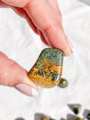 Ocean Jasper Tumbles | Small