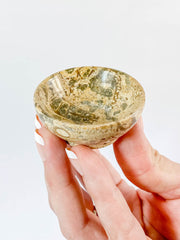 Fossil Coral Bowl | Small