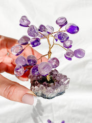 Wire Tree Amethyst on Amethyst Base