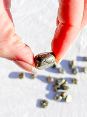 Pyrite Tumbles | Mini