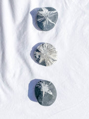 Chrysanthemum Natural Stone | X Large