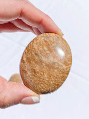 Aragonite PalmStone | Medium