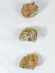 Citrine and Mika Natural | Medium