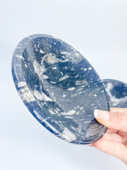 Orthoceras Bowl | XX Large