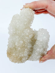 Finger Coral Quartz Cluster 340g