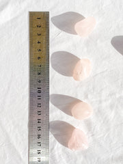 Rose Quartz Tumbles | Medium