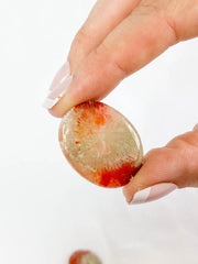 Red Coral | Mini
