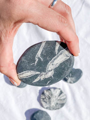 Chrysanthemum Natural Stone | Large