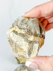 Septarian Natural | Large