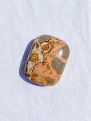 Leopardite Palm Stone 126g