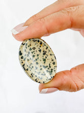 Dalmatian Jasper Worry Stone