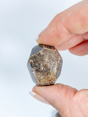 Garnet Free Form Polished Tumbles | Medium