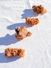 Desert Rose Selenite