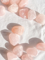 Rose Quartz Tumbles | Medium