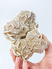 Desert Rose Selenite Cluster Statement Piece 859g