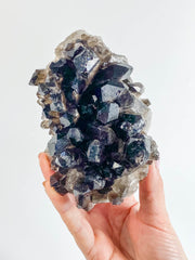 Smoky Quartz Cluster 745g