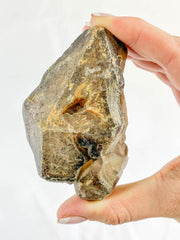 Smoky Quartz with Actinolite Elestial Natural Mineral Specimen 311g