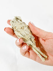 Organic White Sage | Small