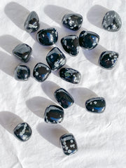 Snowflake Obsidian Tumbles | Medium