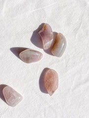 Lavender Tumbles | Mini