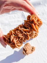 Desert Rose Selenite