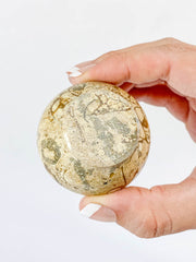 Fossil Coral Bowl | Small