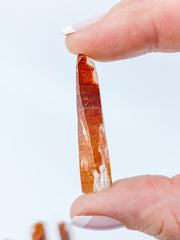 Lemurian Tangerine Natural | Small