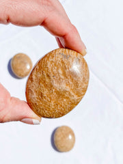 Aragonite PalmStone | Medium