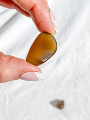 Brown Chalcedony Tumbles | Small