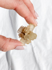 Aragonite Sputnik White | X Small