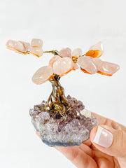Crystal Bonsai Tree Rose Quartz on Amethyst Base