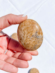Aragonite PalmStone | Medium