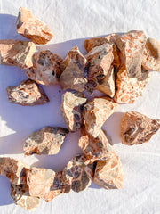 Leopardite Natural | X Small