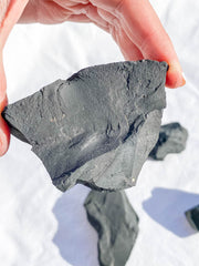 Shungite Natural | X Large