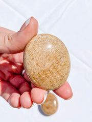Aragonite PalmStone | Medium