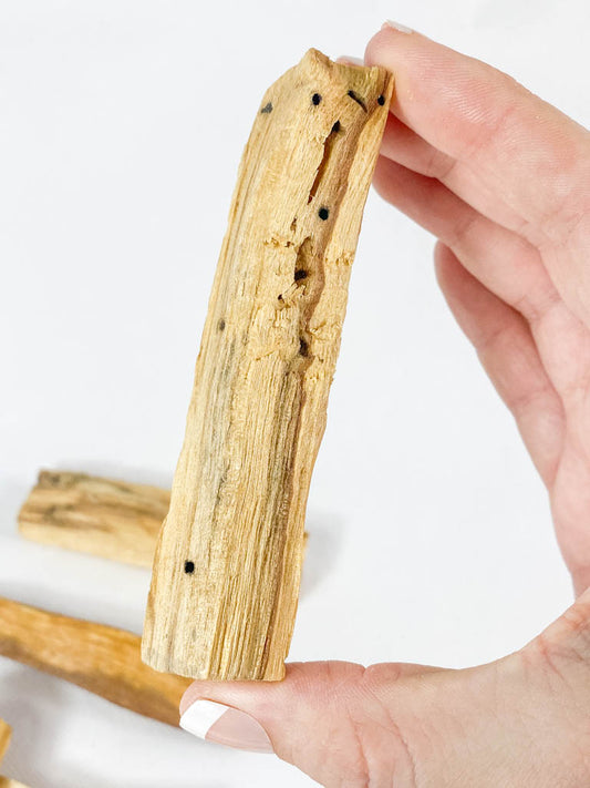 Palo Santo Stick | Thick