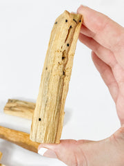 Palo Santo Stick | Thick