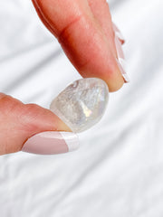 Angel Aura Tumbles | Mini