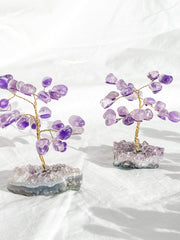 Wire Tree Amethyst on Amethyst Base