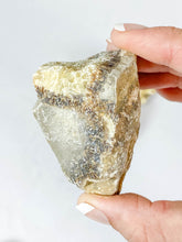 Septarian Natural | Large