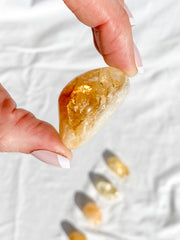Citrine Baked Tumbles | Medium