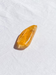 Copal with Insect Inclusions 14g