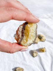 Septarian Natural | Small