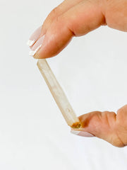 Golden Healer Natural Point 8g