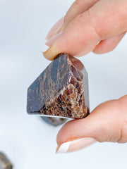 Garnet Free Form Polished Tumbles | X Large