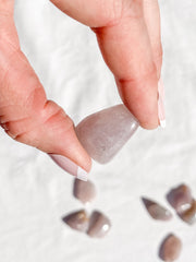 Lavender Tumbles | Mini